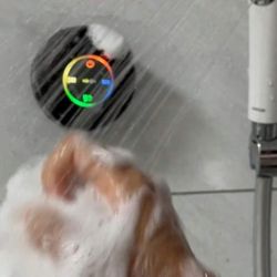 Wireless Speaker 