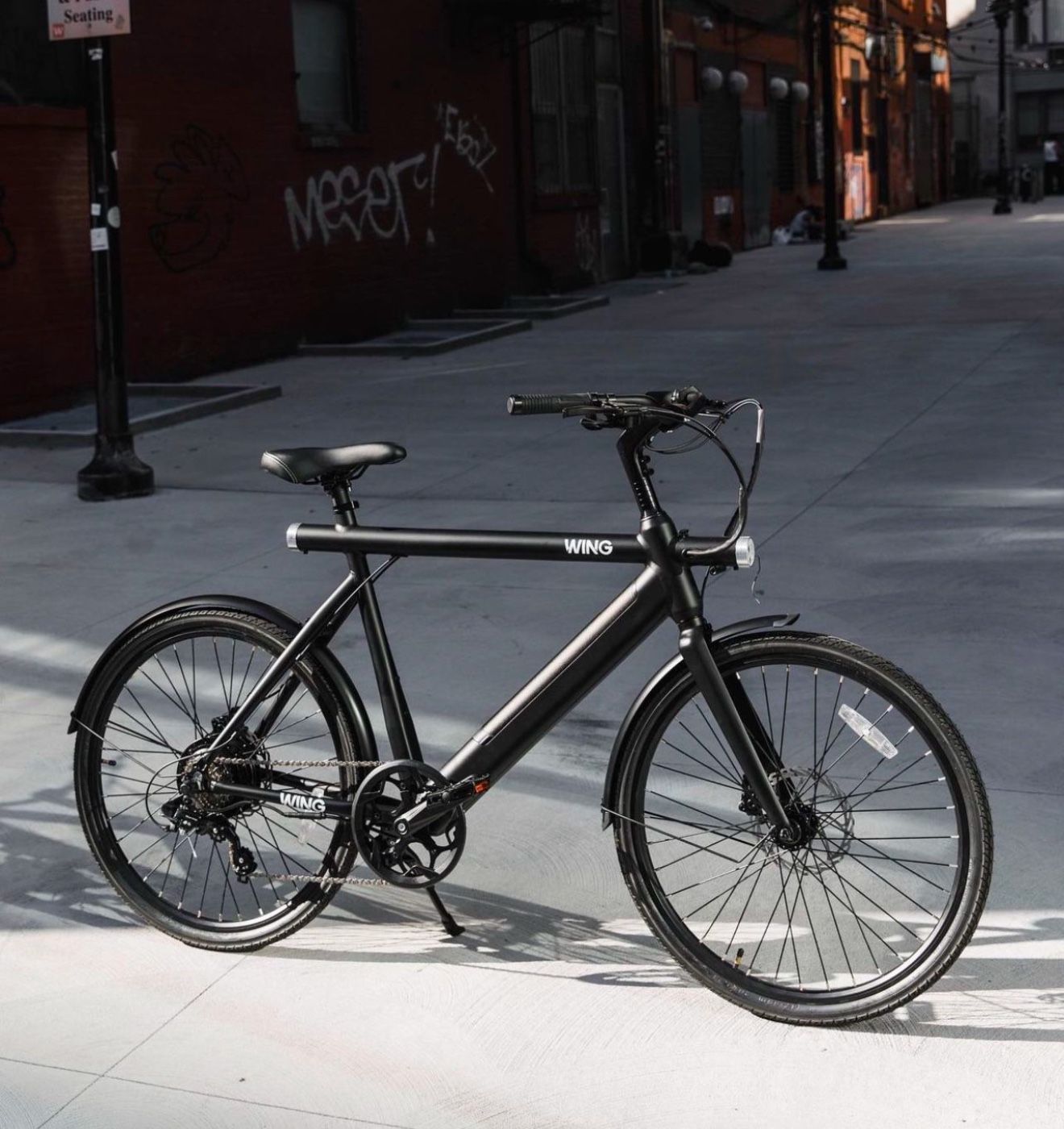 WingBike - Freedom X : E-Bike, Beach Cruisers