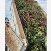 Trash Dump Service 