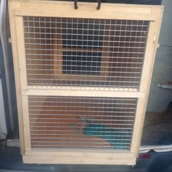 Dog Kennel 