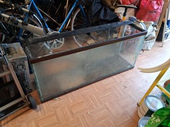 Fish tank