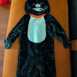 Hallooween Cat Costume 