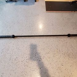 Barbell 45 Pounds