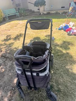 expedition stroller wagon