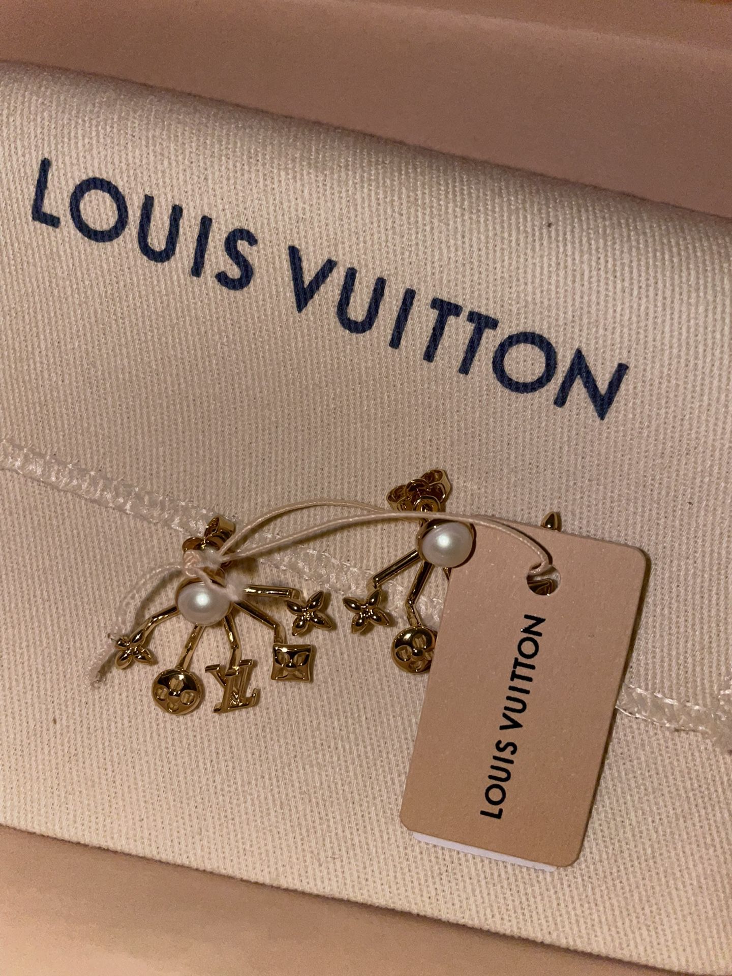 Louis Vuitton Cruiser Earrings Unboxing