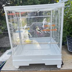 Bird Cage Acrylic 
