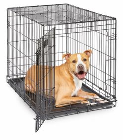 Icrate 36 inch Dog Crate