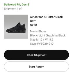 Air Jordan Black Cat 4s 