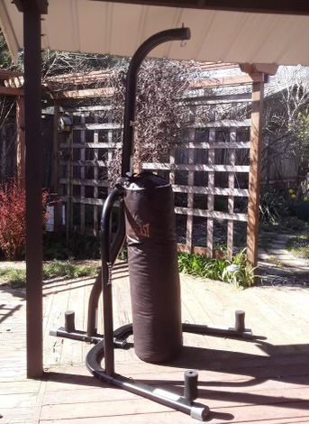 Everlast punching Bag And Stand