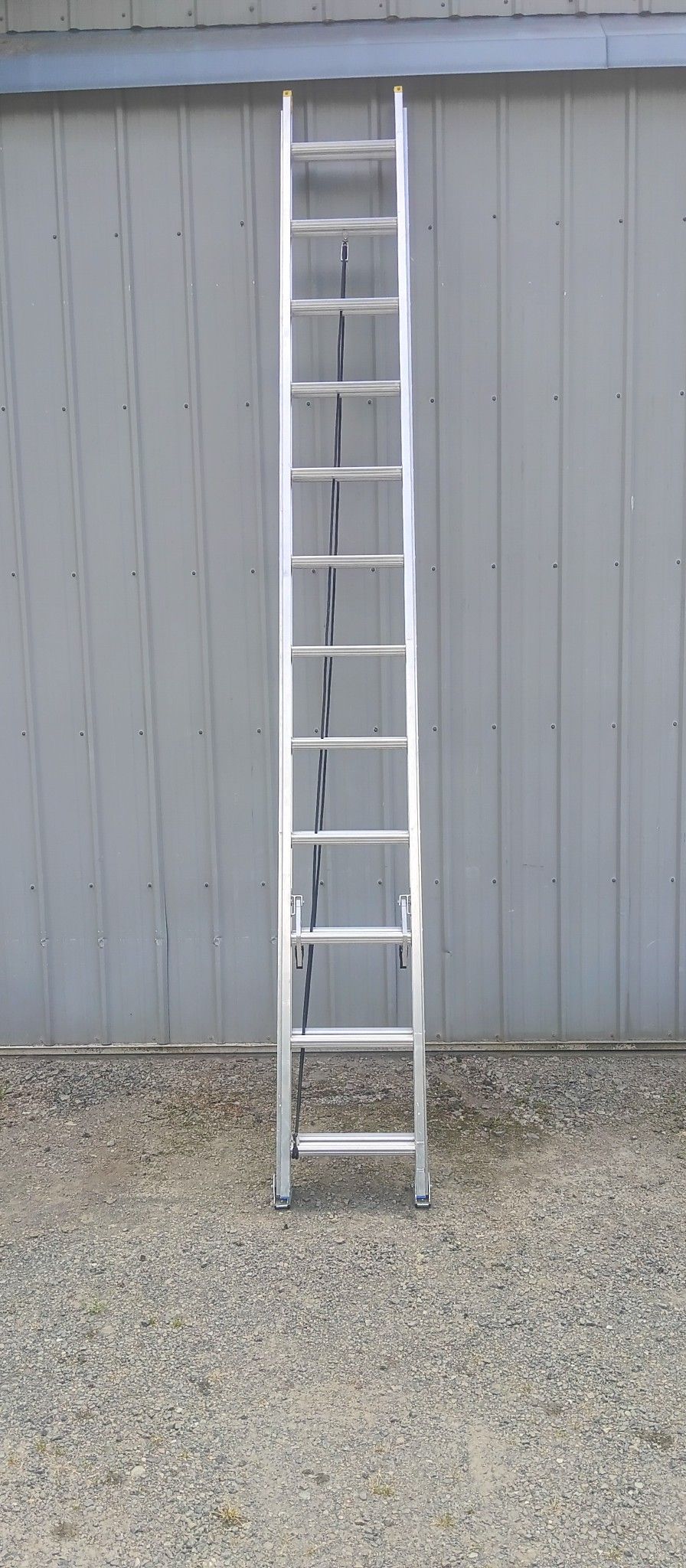 24' Werner Ladder