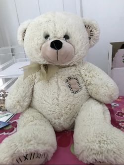 Bear 50cm