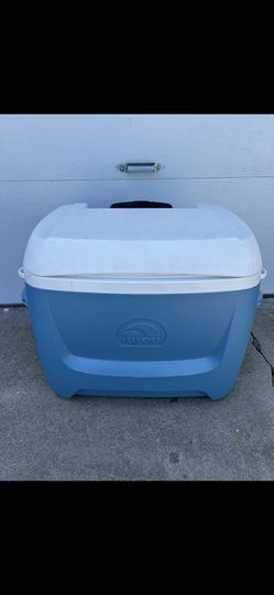 IGLOO COOLER