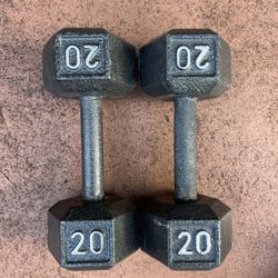 20.lbs X 2 Dumbbell Set NEW