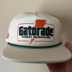 Gatorade/Stranger things hat