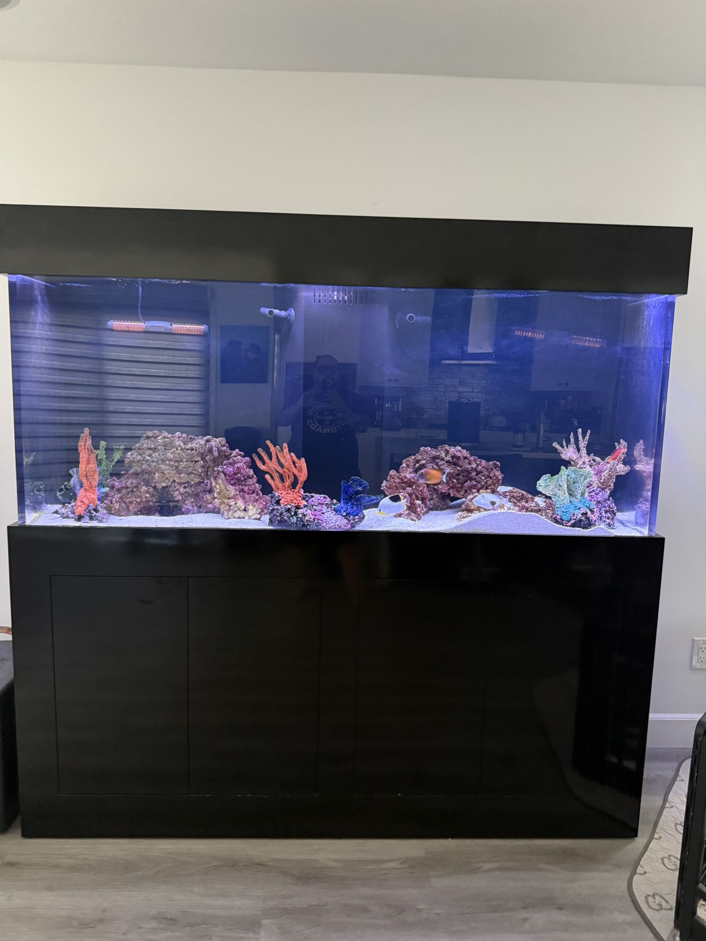 180 Gallon Salt Water Fish Tank Need To Sell