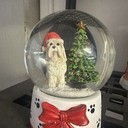 Snow Globe 