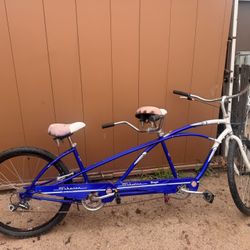 Vintage Schwinn Tango Tandem 2 Seater Bike 