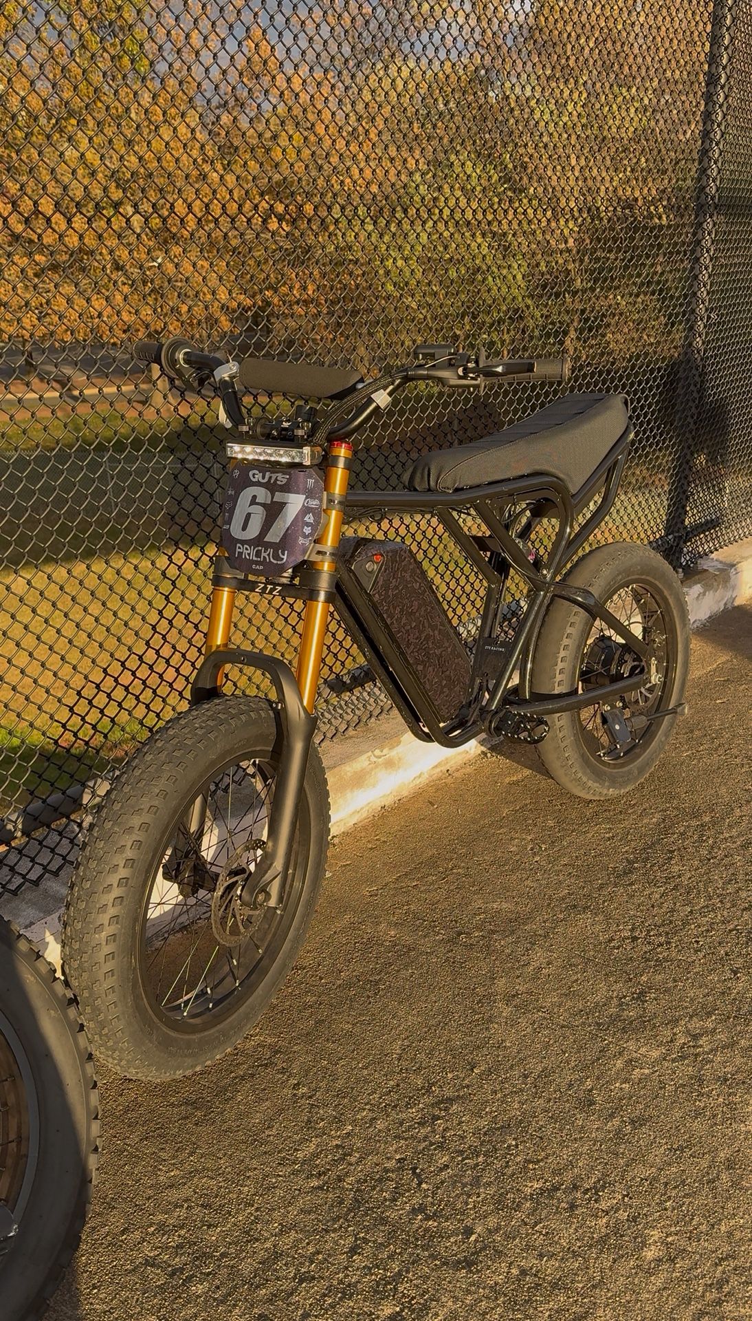 RidStar Q20 Ebike Fully Modded