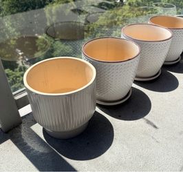 6 Beautiful Ceramic Plant Pots
