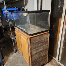 Fish Tank With Saltwater Items