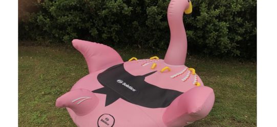 Towable flamingo- New in box
