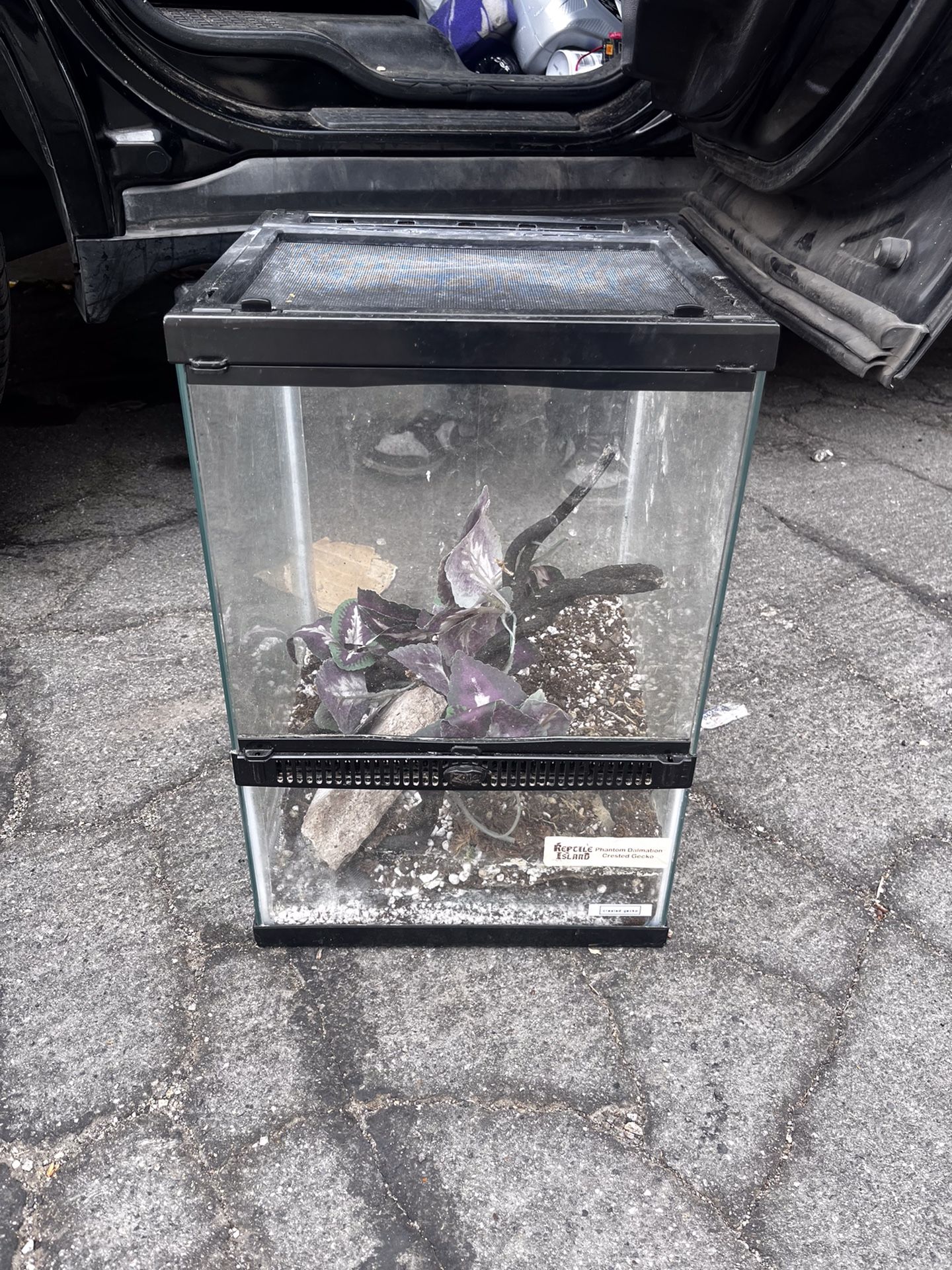 Reptile Enclosure (2)