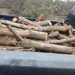 Seasoned Almond Wood Truckload