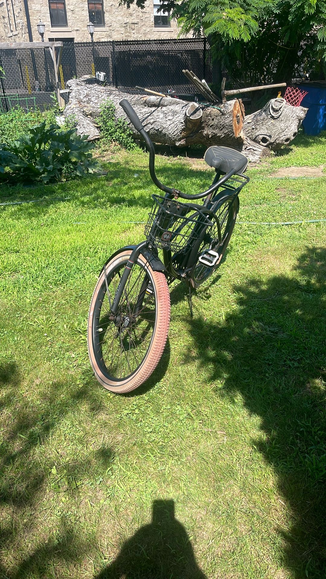 Beach Cruiser