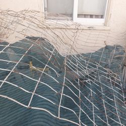 Wire Fencing