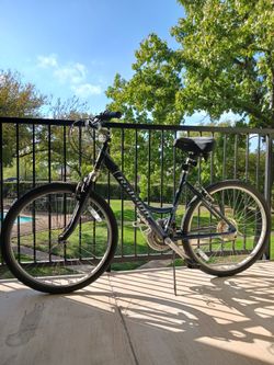 Raleigh SC40 Bike