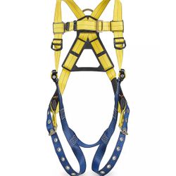 Harness And Rigging