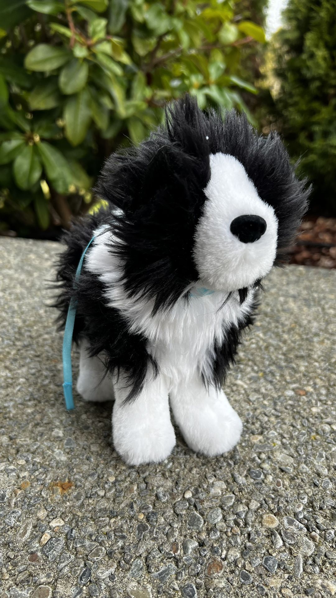 American Girl Saige’s Pet Rembrandt