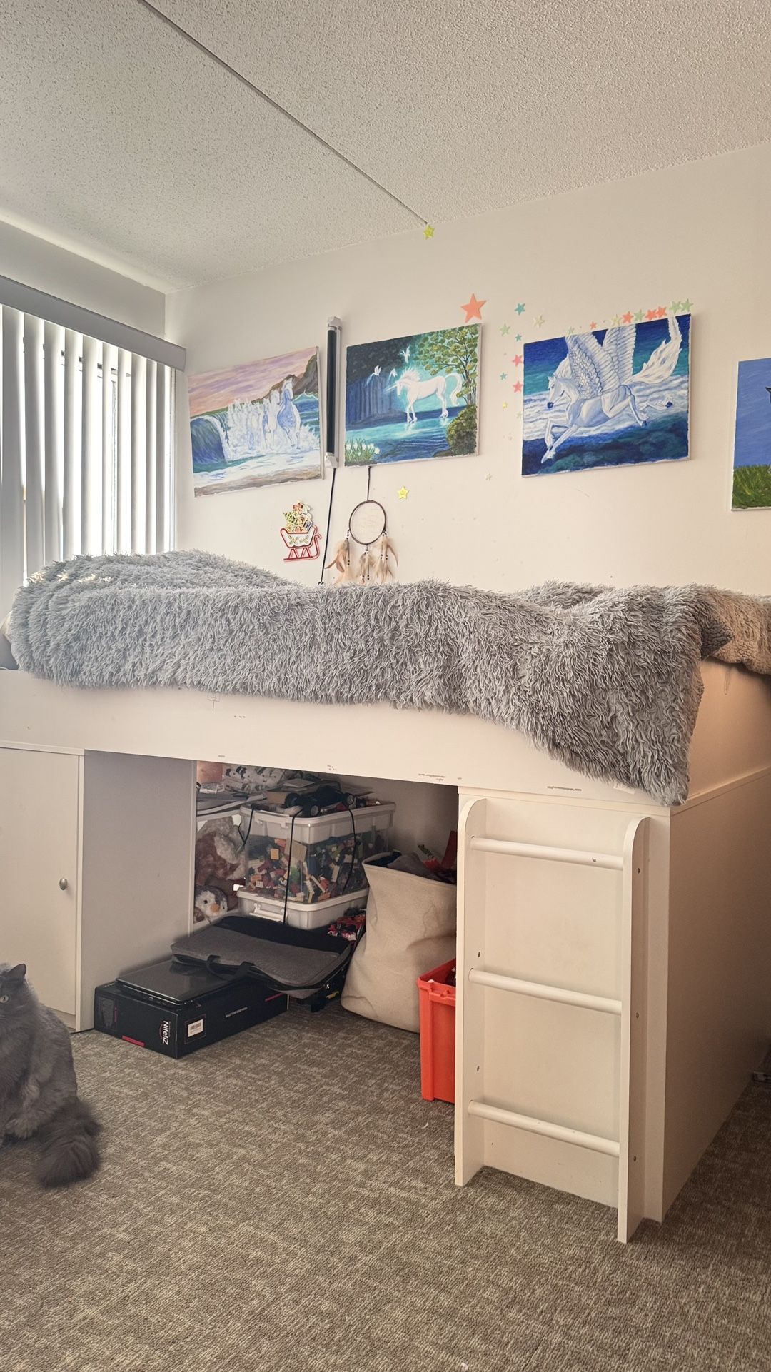 Loft Twin Bed with Storage