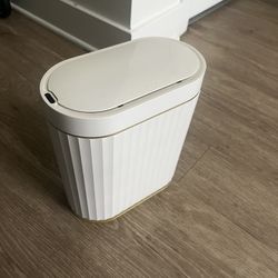 Automatic Trash Can 