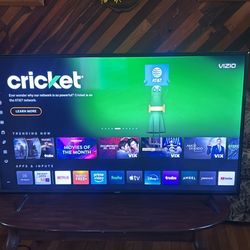 Vizio 48” Flat Screen Tv