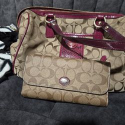Coach Purse with wallet