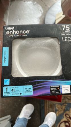 Electric lights