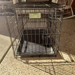 Dog Cage 