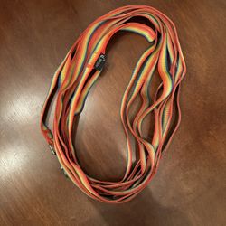 Rainbow 25ft Training Leash
