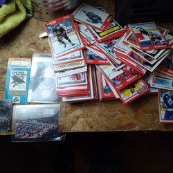 A Box Of 1991 Hockey Cards Came Out Of Storage