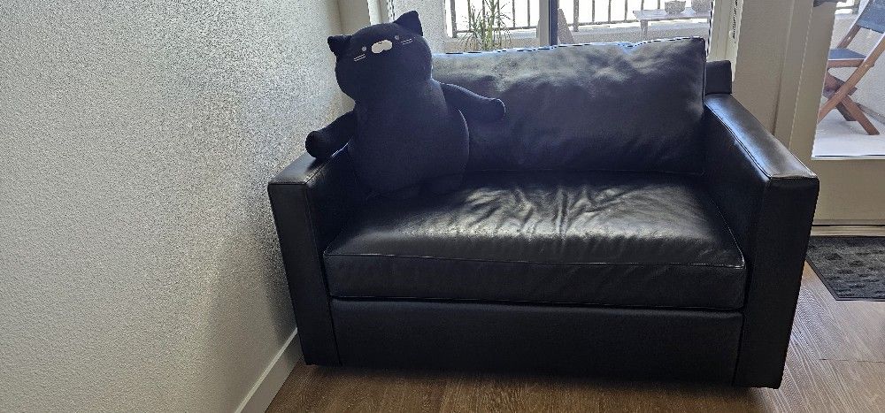 Crate and Barrel Sleeper Sofa