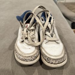 Kids Jordan 3s 