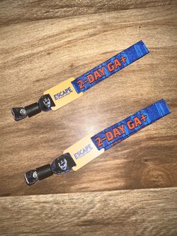 2026 Escape Psycho Circus 2-Day GA+ Experience (x2)