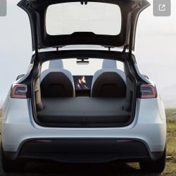 A Tesla Inflatable Bed Paid $250 Brand New In A Bag Never Used