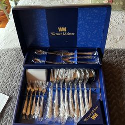 Werner Meister 20 Piece Set Like New Condition $28 OBO!