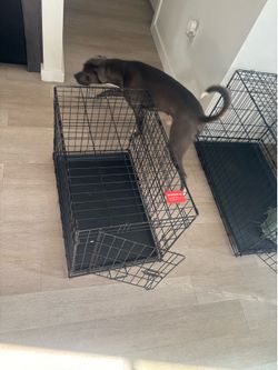 Small-Medium sized dog crate
