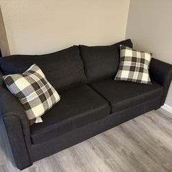 Sofa/ Couch 
