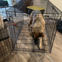 XL Dog Crate