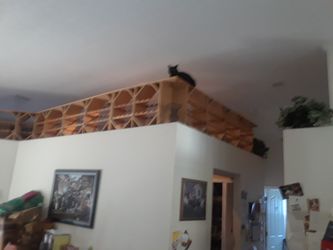 Wine racks custom solid wood