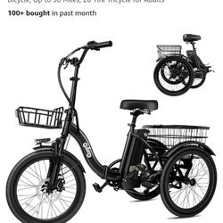 E bike Trike